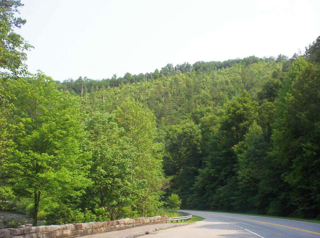 View at end of Skyway near Tellico Plains