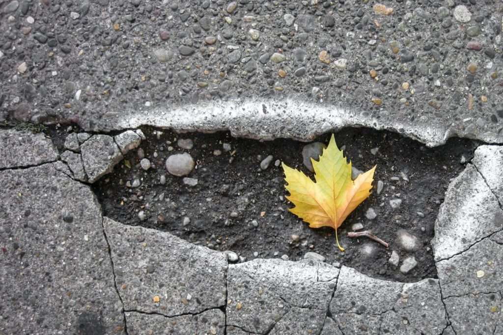 Pothole with a leaf in it